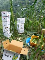 팜모닝 팜모닝에서 기억에 남은 것은?·참여글 게시글 이미지