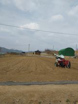 팜모닝 감·영농일지 게시글 이미지