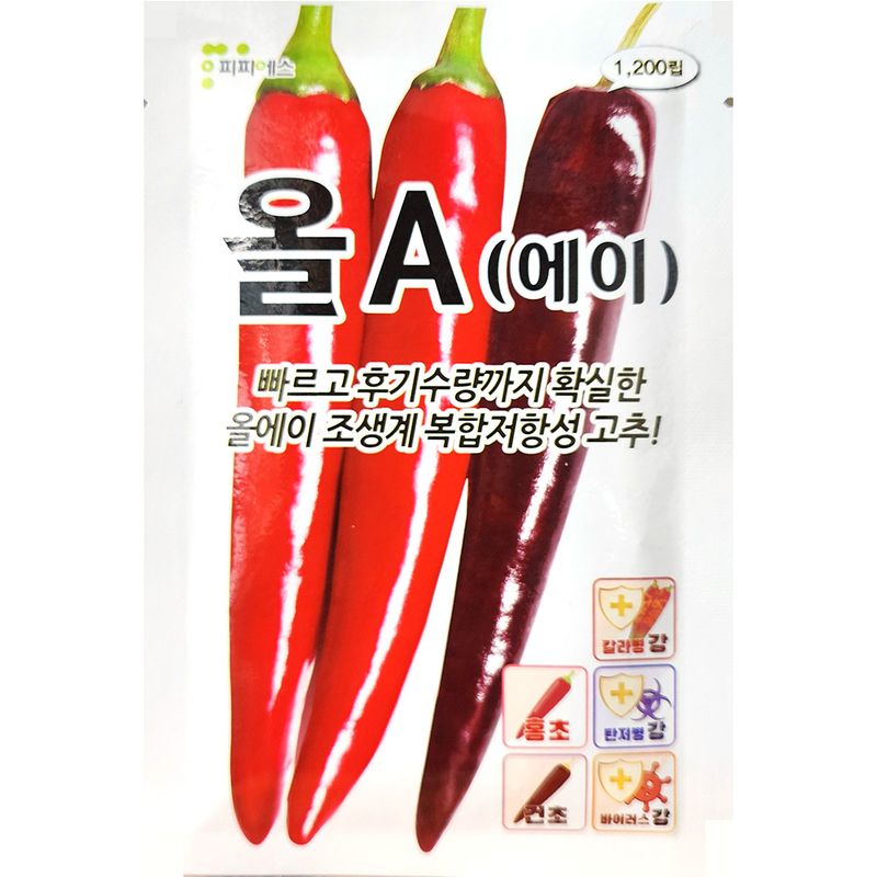 장터 상품 [올에이고추씨앗 1200립] 썸네일