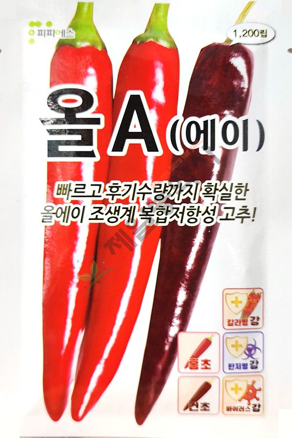 안산제일농약사님의 장터 판매 상품 [올에이고추씨앗 1200립] 첨부 사진