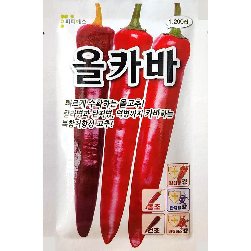 장터 상품 [올카바고추씨앗 1200립] 썸네일