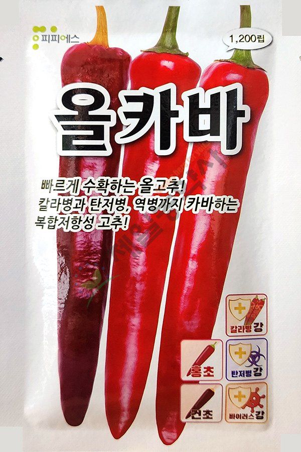 안산제일농약사님의 장터 판매 상품 [올카바고추씨앗 1200립] 첨부 사진