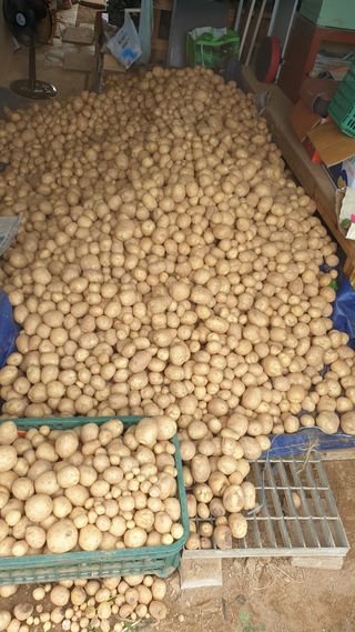 Yejak님의 팜모닝에서 기억에 남은 것은? · 참여글 작성글 사진