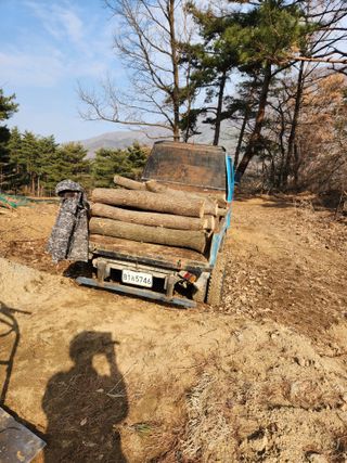 최군환님의 버섯 · 생장기 농작업 작성글 사진