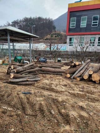 최군환님의 버섯 · 생장기 농작업 작성글 사진