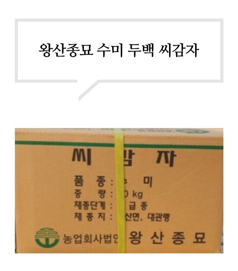 대산농사대장님의 장터 판매 상품 [왕산종묘 씨감자 홍감자 수미 두백 3kg10kg20kg] 첨부 사진