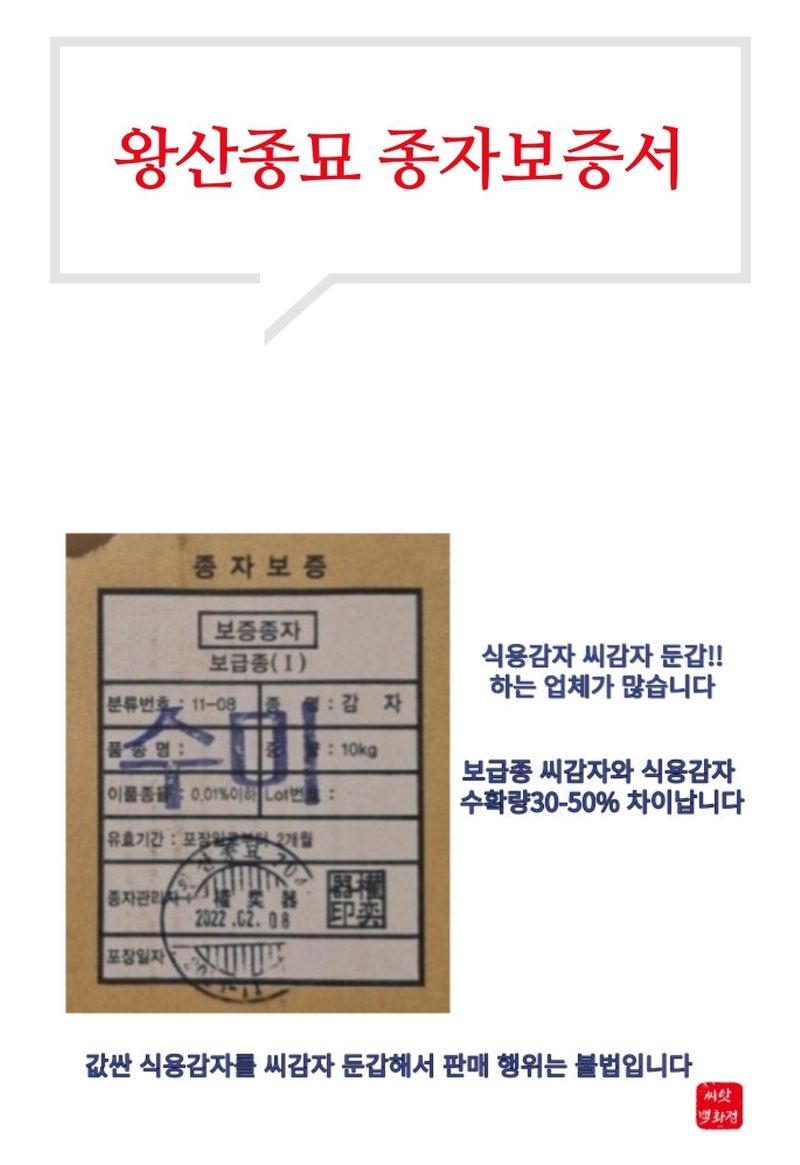 대산농사대장님의 장터 판매 상품 [왕산종묘 씨감자 홍감자 수미 두백 3kg10kg20kg] 첨부 사진