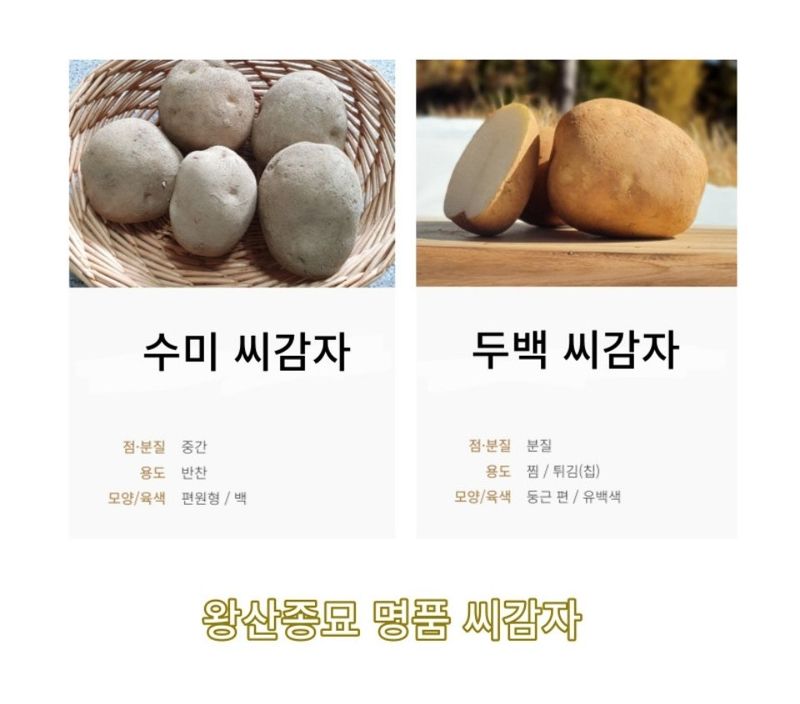 대산농사대장님의 장터 판매 상품 [왕산종묘 씨감자 홍감자 수미 두백 3kg10kg20kg] 첨부 사진