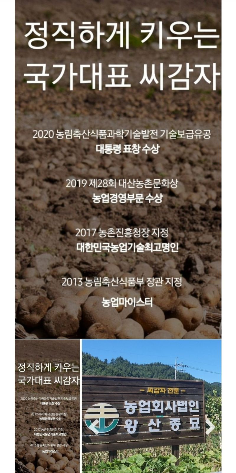 대산농사대장님의 장터 판매 상품 [왕산종묘 씨감자 홍감자 수미 두백 3kg10kg20kg] 첨부 사진