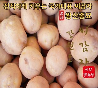 대산농사대장님의 작성글 사진