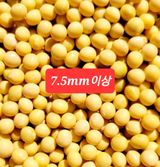 팜모닝 팜모닝에서 기억에 남은 것은?·참여글 게시글 이미지