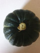 팜모닝 농사, 무엇이든 물어보세요!·참여글 게시글 이미지