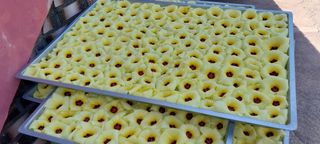 낙엽교목류15665님의 우리동네 · 동네자랑 작성글 사진