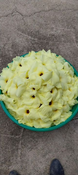 낙엽교목류15665님의 우리동네 · 동네자랑 작성글 사진