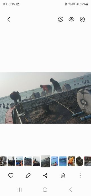 고추농사 정 미라님의 팜모닝에서 기억에 남은 것은? · 참여글 작성글 사진