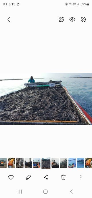 고추농사 정 미라님의 팜모닝에서 기억에 남은 것은? · 참여글 작성글 사진