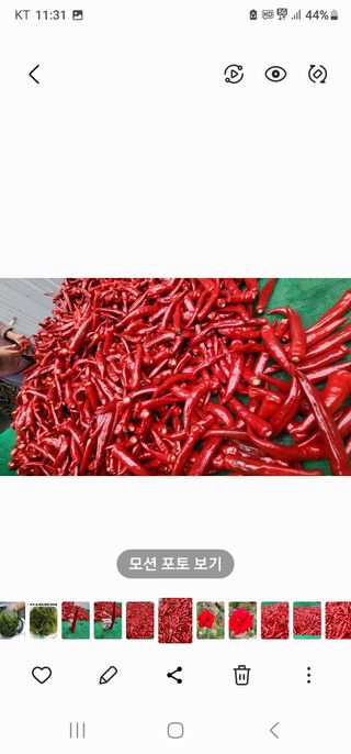 고추농사 정 미라님의 팜모닝에서 기억에 남은 것은? · 참여글 작성글 사진