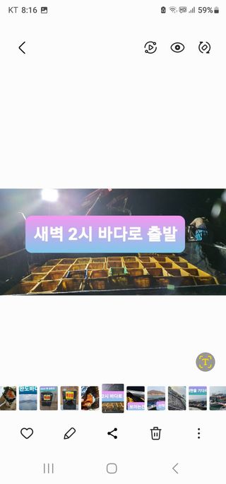 고추농사 정 미라님의 팜모닝에서 기억에 남은 것은? · 참여글 작성글 사진