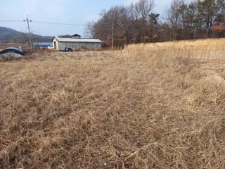 땅땅님의 자유주제 · 자유게시판 작성글 사진