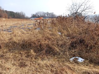 땅땅님의 자유주제 · 자유게시판 작성글 사진