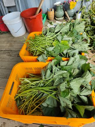 박인화님의 팜모닝에서 기억에 남은 것은? · 참여글 작성글 사진