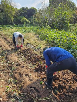 박인화님의 팜모닝에서 기억에 남은 것은? · 참여글 작성글 사진