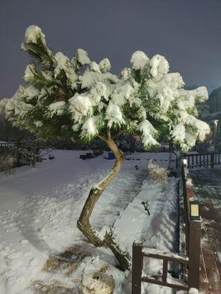 홍종철님의 팜모닝에서 기억에 남은 것은? · 참여글 작성글 사진