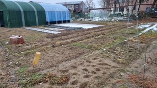 이병문님의 기타작물 · 자유게시판 작성글 사진