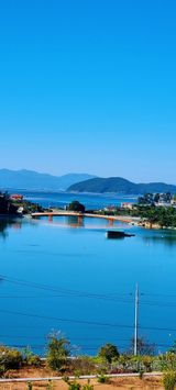 팜모닝 우리동네·동네자랑 게시글 이미지