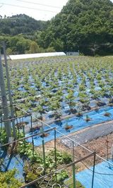 팜모닝 팜모닝에서 기억에 남은 것은?·참여글 게시글 이미지