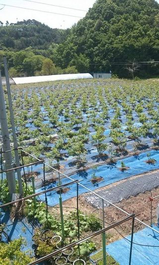 김종원님의 팜모닝에서 기억에 남은 것은? · 참여글 작성글 사진