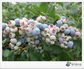 김종원님의 팜모닝에서 기억에 남은 것은? · 참여글 작성글 사진