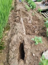 팜모닝 팜모닝·출석 게시글 이미지