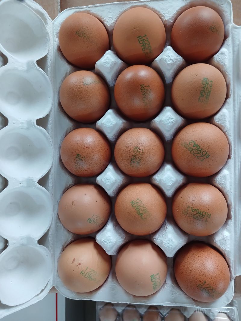 장터 상품 [2번 유정란 15구 판매합니다] 썸네일