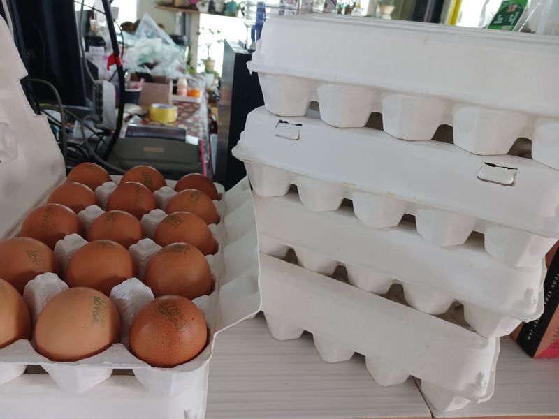 논산 농부 부인님의 장터 판매 상품 [2번 유정란 15구 판매합니다] 첨부 사진