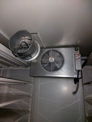 맥문동 천문동님의 작성글 사진