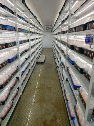 맥문동 천문동님의 작성글 사진