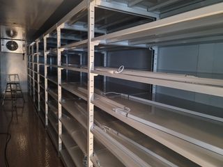 맥문동 천문동님의 작성글 사진