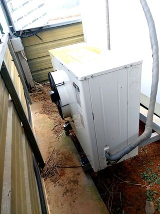 맥문동 천문동님의 작성글 사진