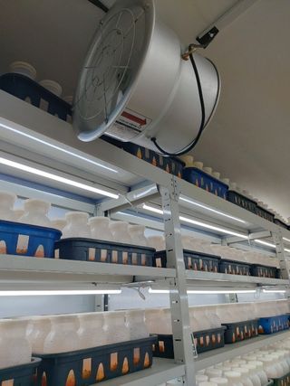 맥문동 천문동님의 작성글 사진