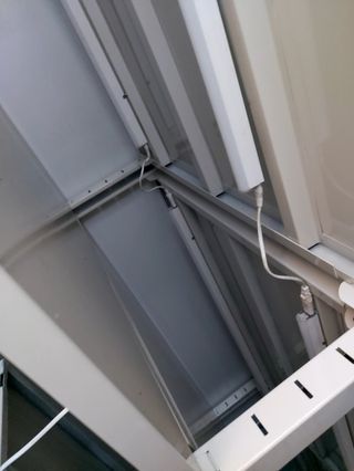 맥문동 천문동님의 작성글 사진