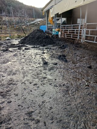 알 수 없음님의 우리동네 · 동네수다 작성글 사진