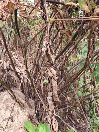 김종덕님의 작성글 사진