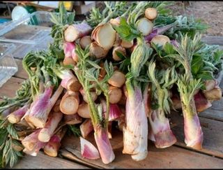 김종덕님의 작성글 사진