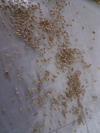 김종덕님의 작성글 사진