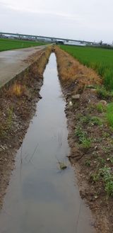 팜모닝 팜모닝에서 기억에 남은 것은?·참여글 게시글 이미지