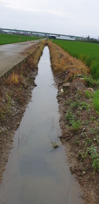 Kswlee2958님의 팜모닝에서 기억에 남은 것은? · 참여글 작성글 사진