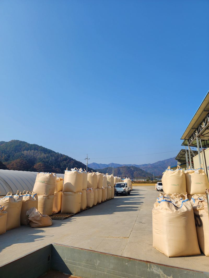 농부 임성훈님의 장터 판매 상품 [친환경 오대쌀 10kg 25년햅쌀] 첨부 사진