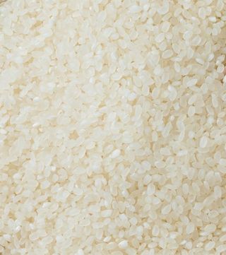 농부 임성훈님의 작성글 사진