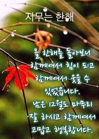 짱순이연속8월출석왕님의 팜모닝에서 기억에 남은 것은? · 참여글 작성글 사진